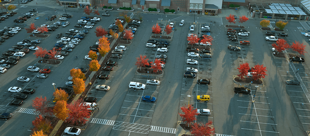 Commercial Case Study 2025